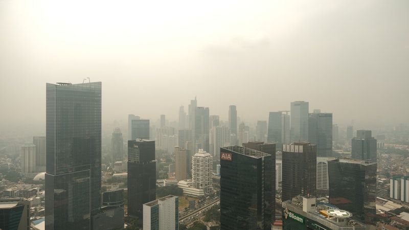 Phát triển bộ chỉ số thành phố xanh Việt Nam