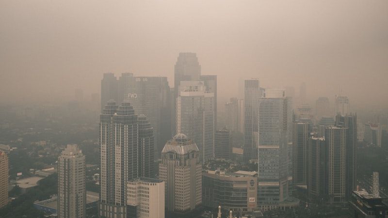 Tư vấn lộ trình net-zero cho chính quyền địa phương